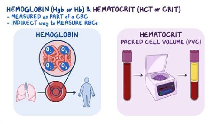 Whats the difference between hemoglobin and hematocrit?
