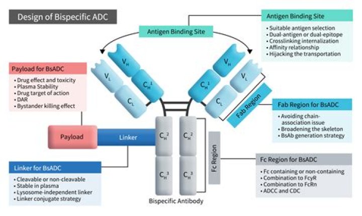 Whats the full meaning of adc?