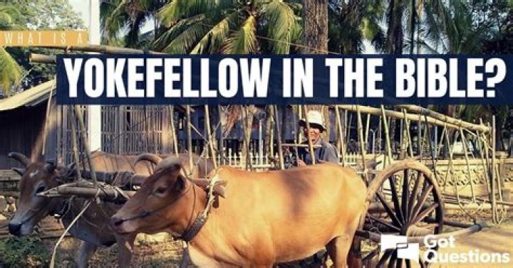 Whats the meaning of yokefellow?