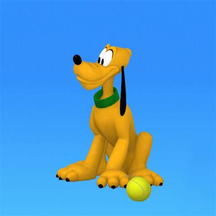 Whats the name of mickey's dog?