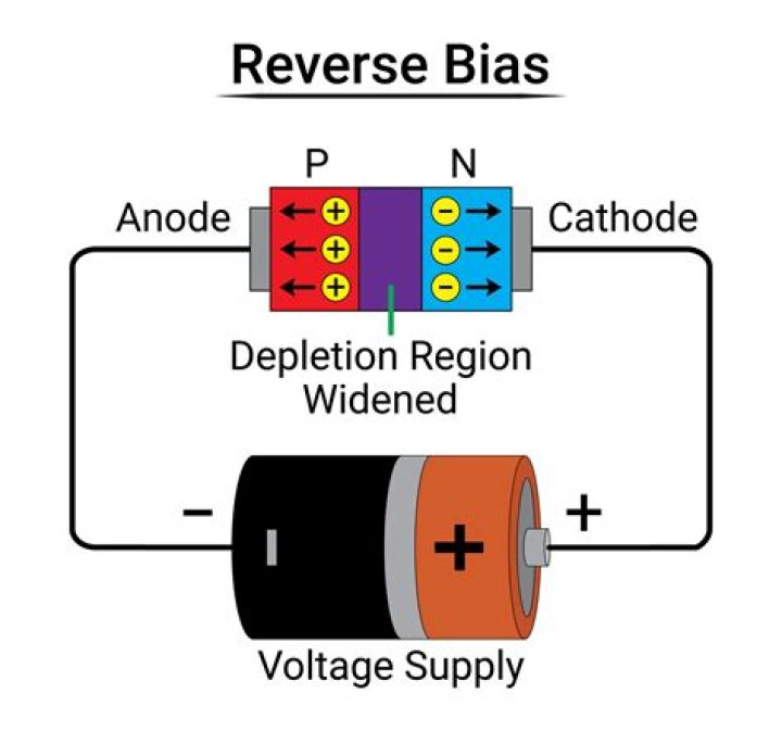 When a reverse bias is applied to a diode it will?