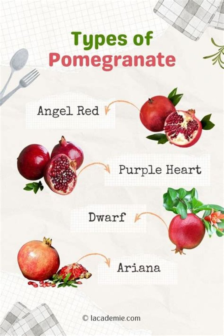 When are pomegranates in season uk?