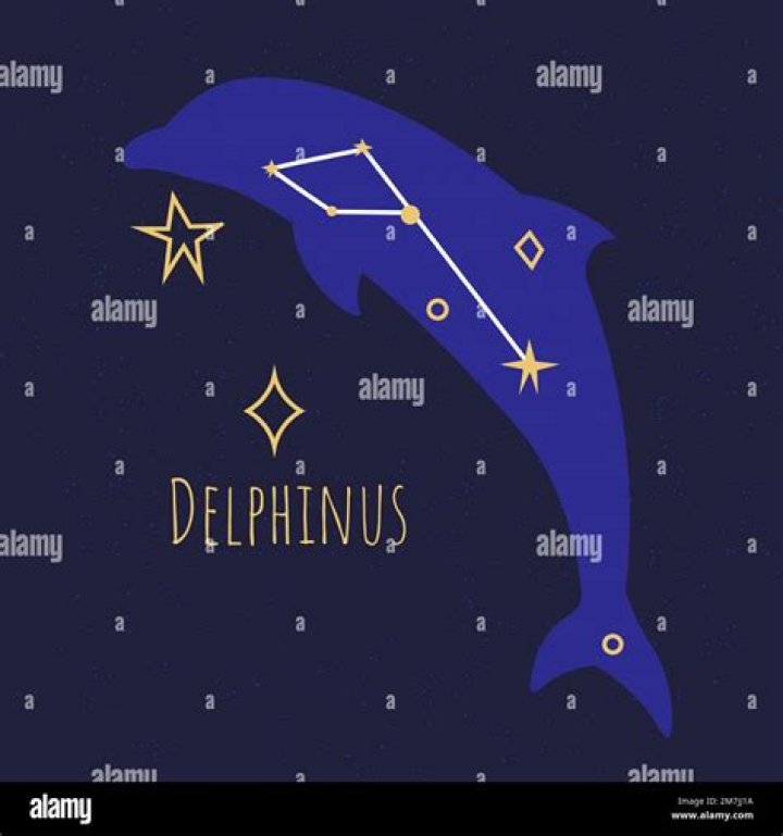 When can you see delphinus constellation?