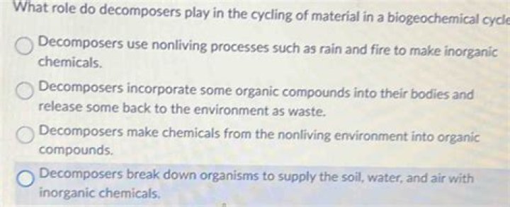 When decomposers break down organic molecules?