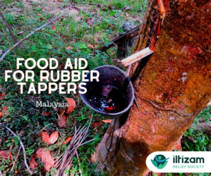 When did rubber tappers come to the rainforest?