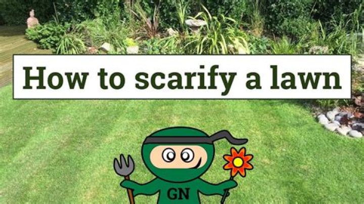 When do you scarify a lawn?