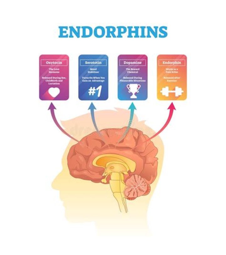 When does endorphin release?