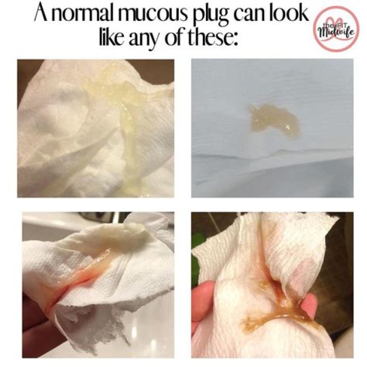 When does the mucus plug form?