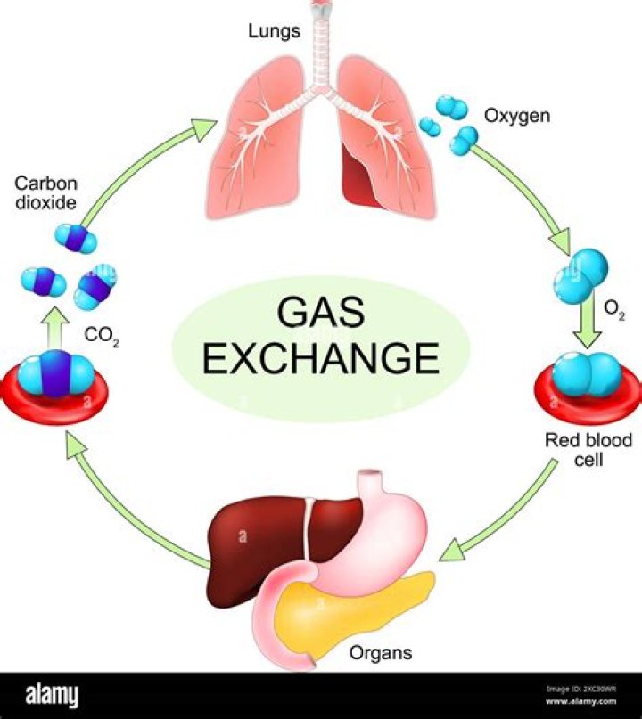 When is oxygen gas produced?