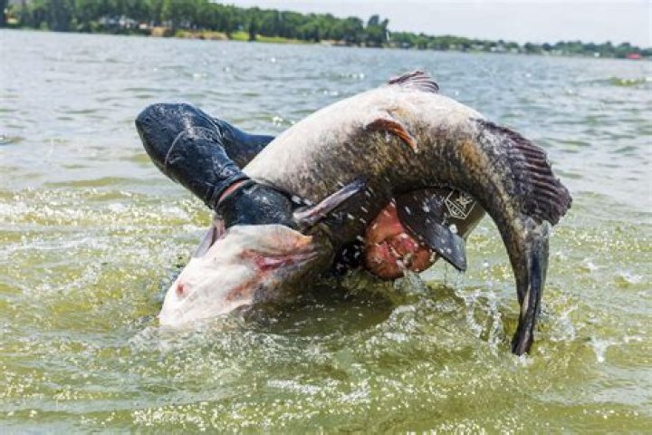 When is the best time to go noodling?