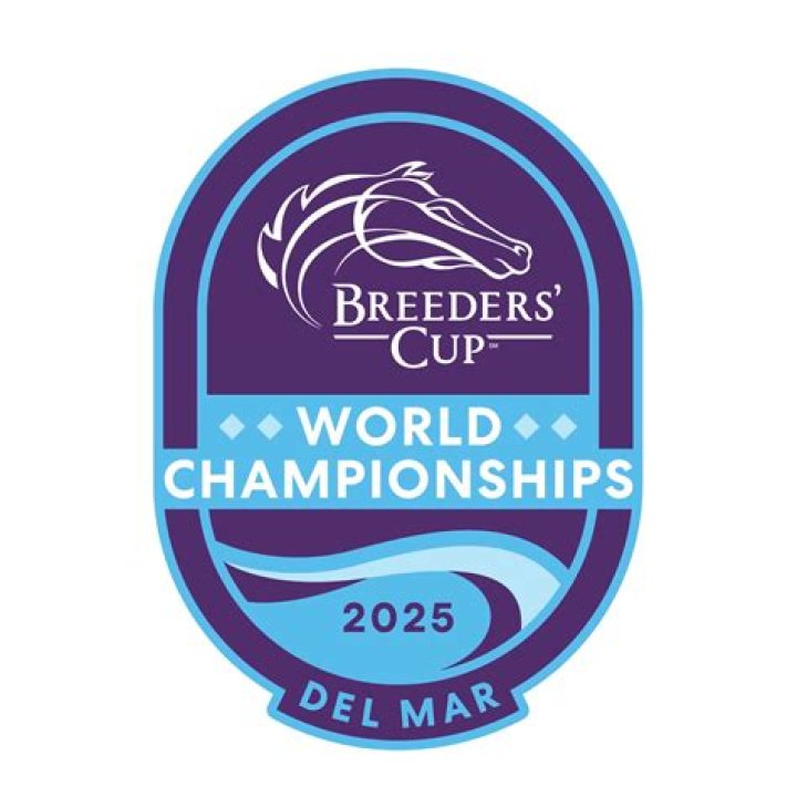 When is the breeders cup classic 2020?
