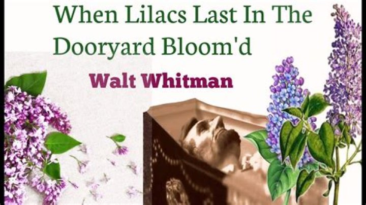 When lilacs last in the dooryard bloom'd hindemith?
