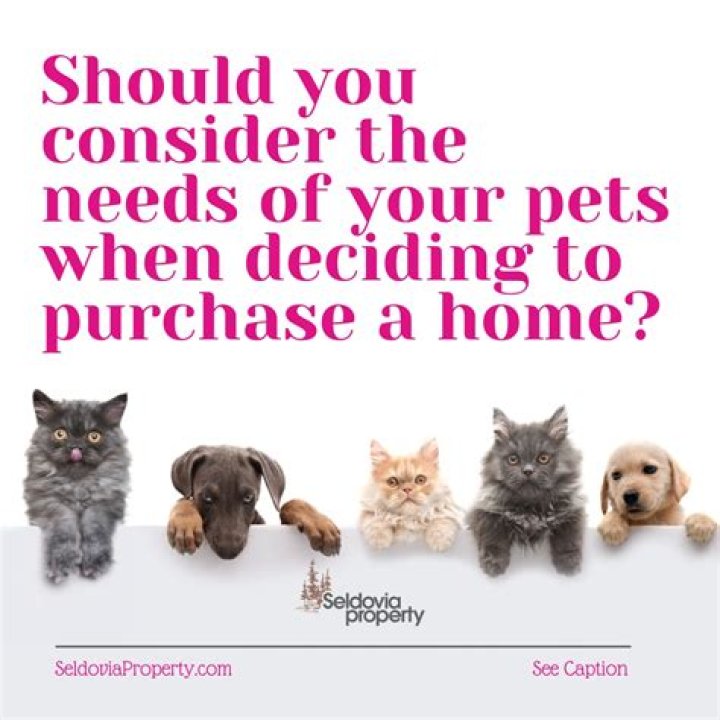 When purchasing a home?