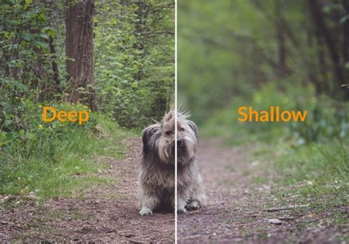 When shallow depth of field?