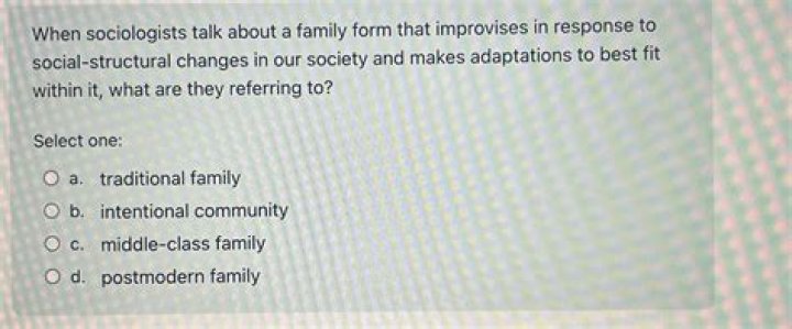 When sociologists talk about a family form that improvises?