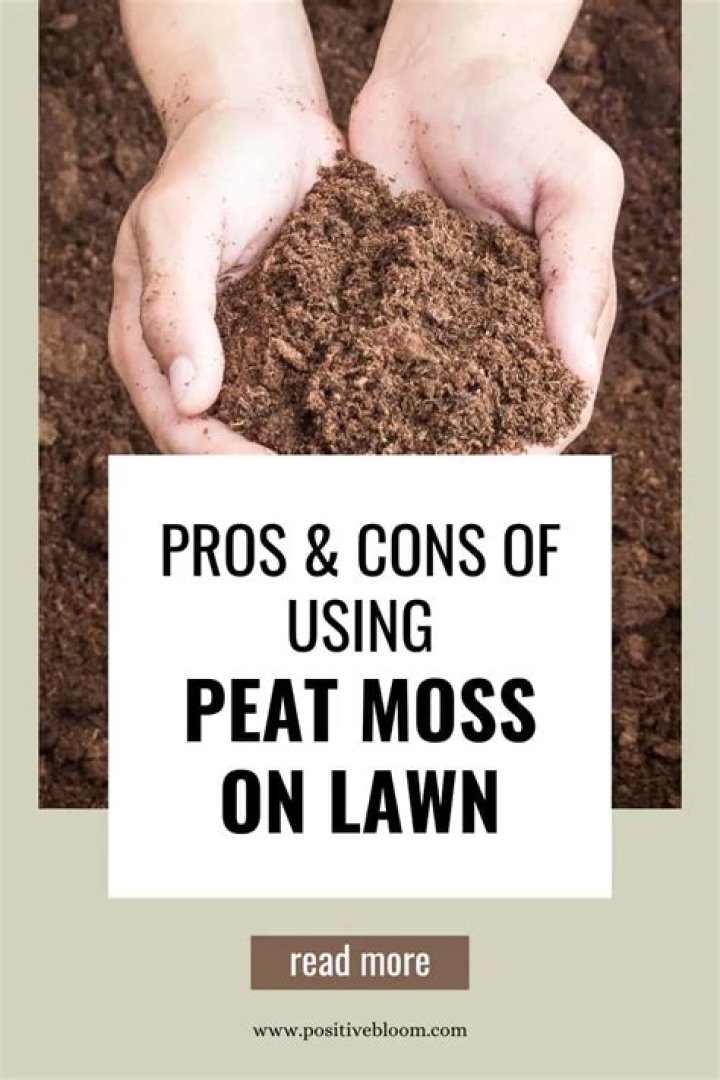 When to apply peat moss to lawn?