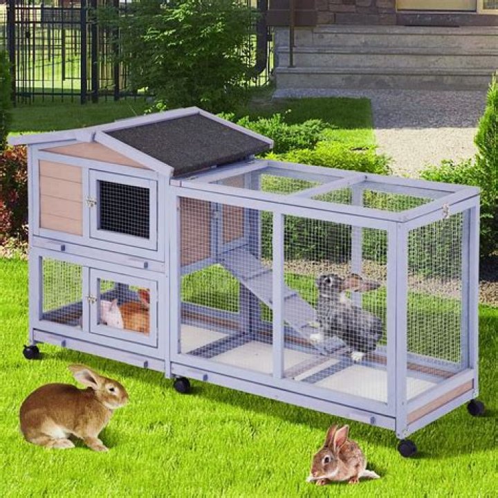 When to cover a rabbit hutch?