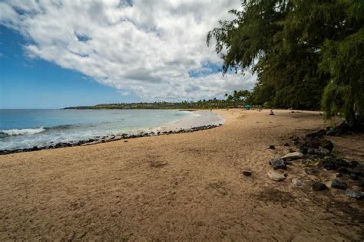 When to snorkel in kauai?