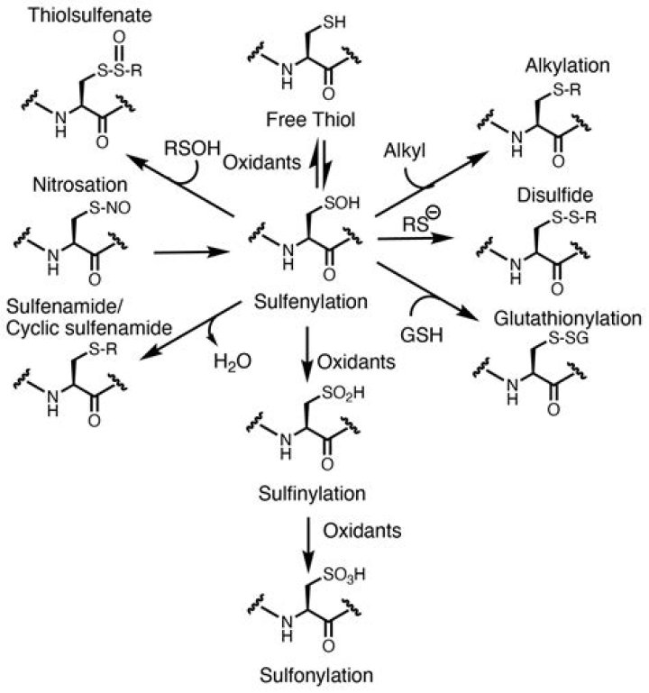 When to use thiol?