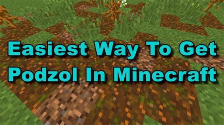 When was podzol added to minecraft?