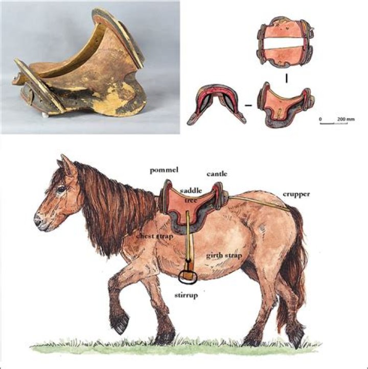 When was side saddle invented?