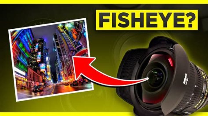 When was the fisheye lens invented?