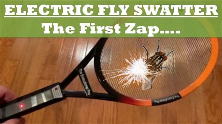 When was the fly swatter invented?