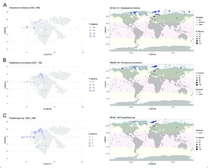 When were biogeographic invented?