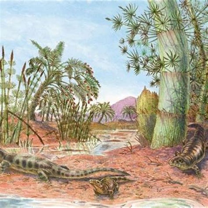 When were the first reptiles?