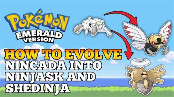 When will scraggy evolve in emerald?