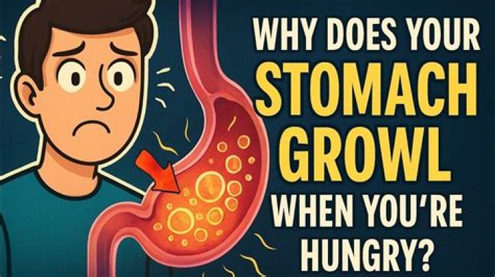 When your stomach is growling what does that mean?