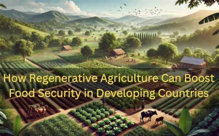 Where agriculture can work?