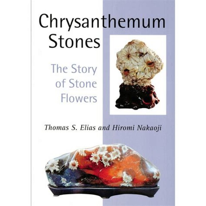 Where are chrysanthemum stones found?