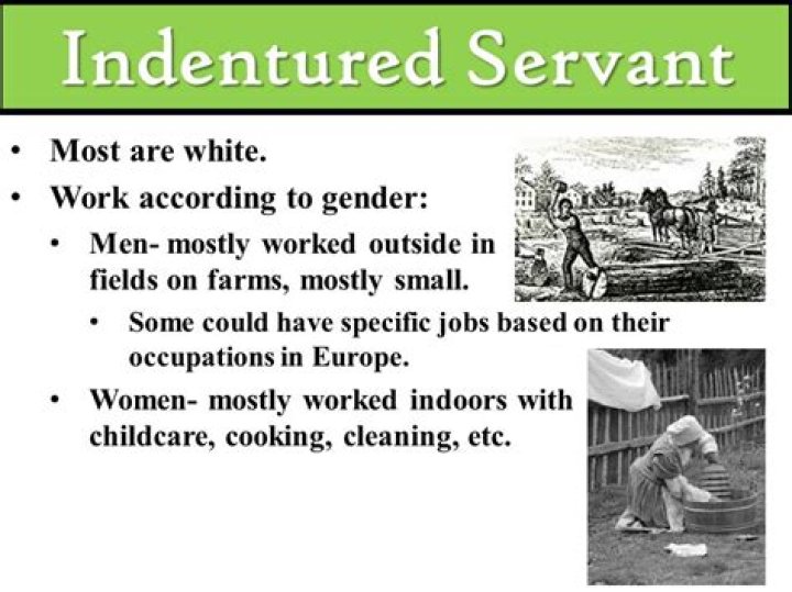 Where are indentured servants from?