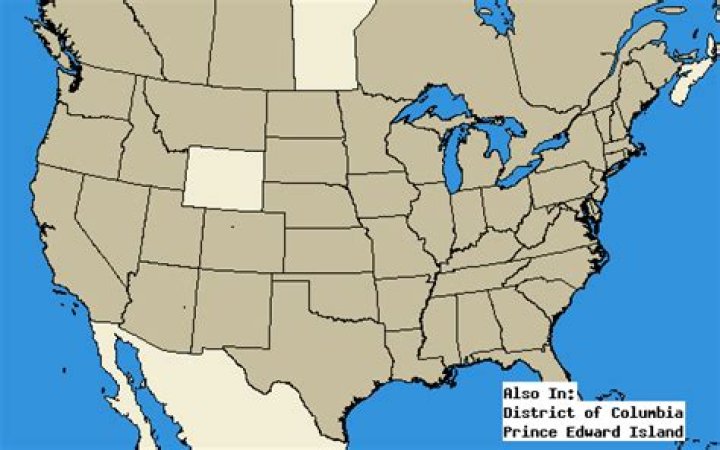 Where are mud daubers found?