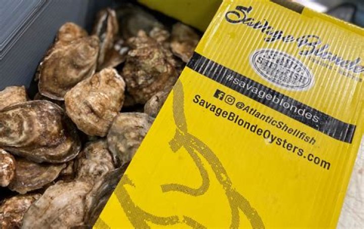 Where are savage blonde oysters from?
