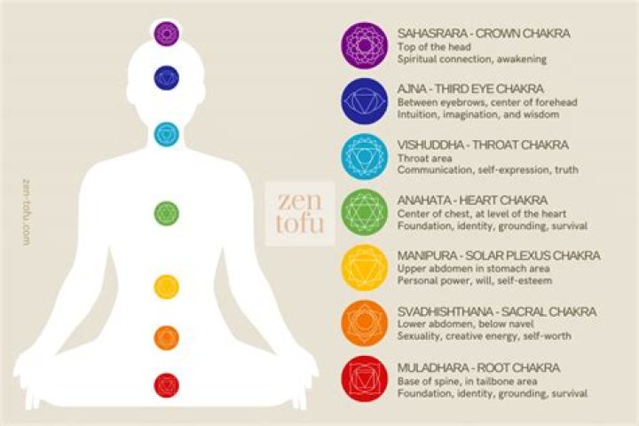 Where are the seven chakras?