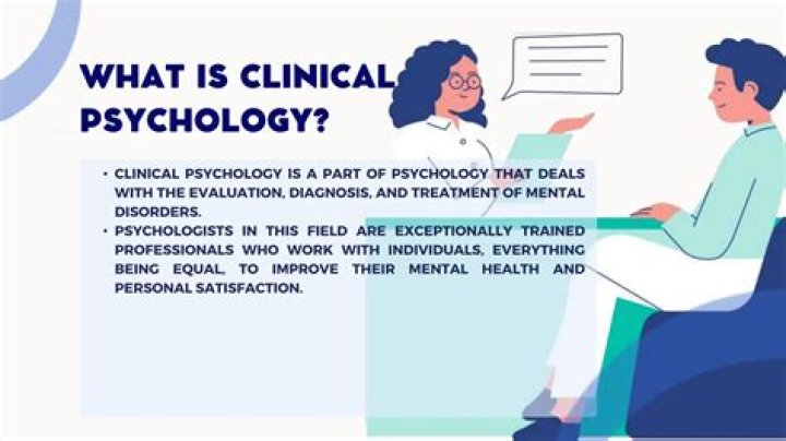 Where clinical psychologist can work?
