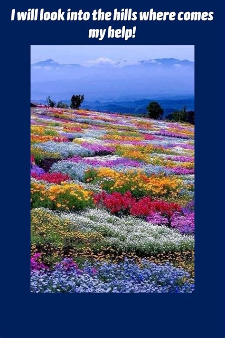 Where comes my help?