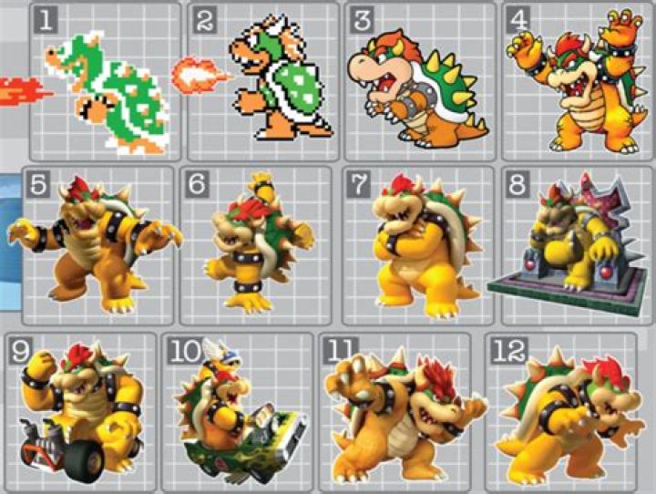 Where did bowser come from?