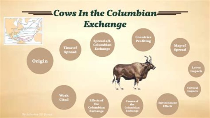 Where did cattle come from?
