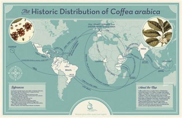 Where did coffee come from originally?