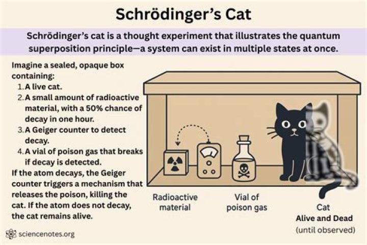 Where did schrodinger live?