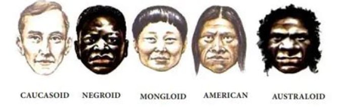 Where did the mongoloid race originated?