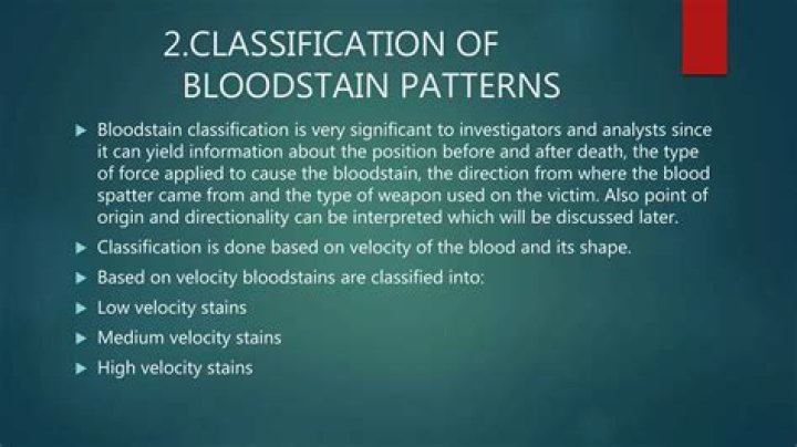Where do bloodstain pattern analysis work?