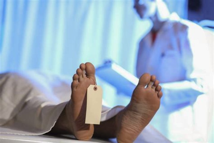 Where do medical cadavers come from?