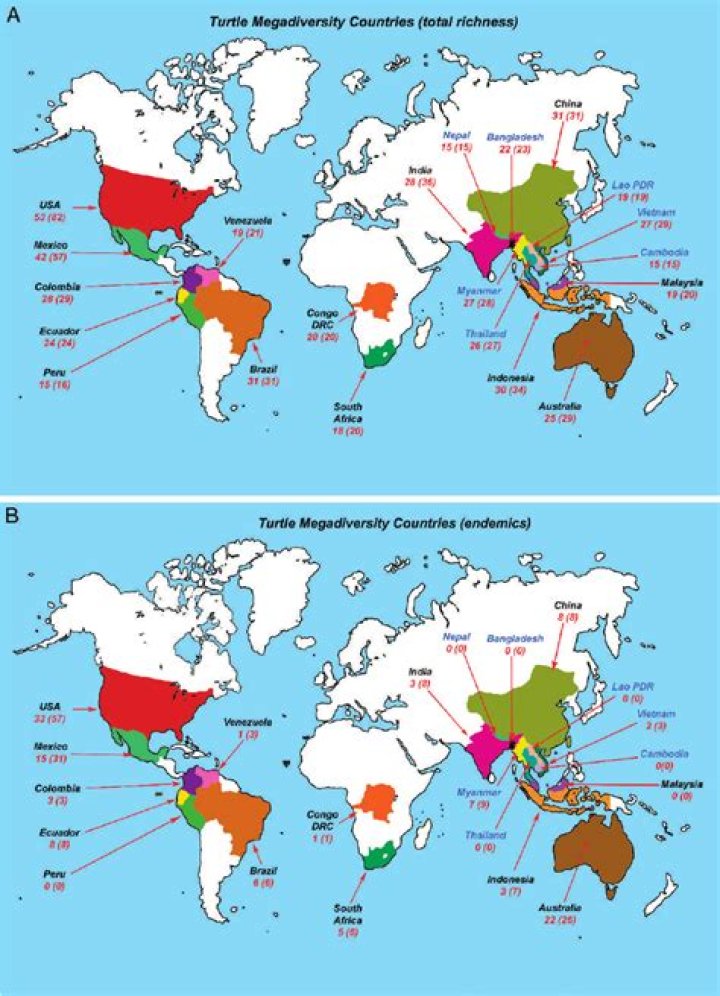 Where do tortoises live?