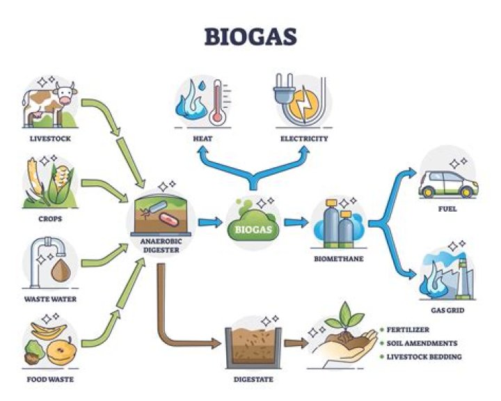 Where does biogas come from?