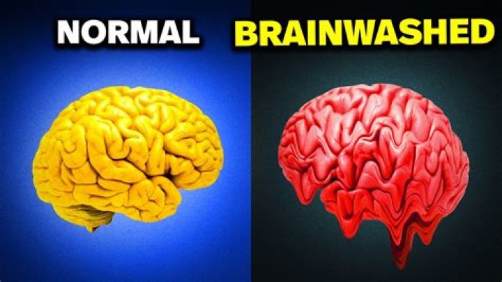 Where does brainwash come from?
