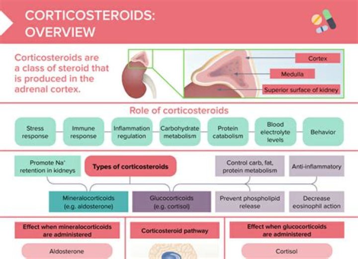 Where does corticosteroids come from?